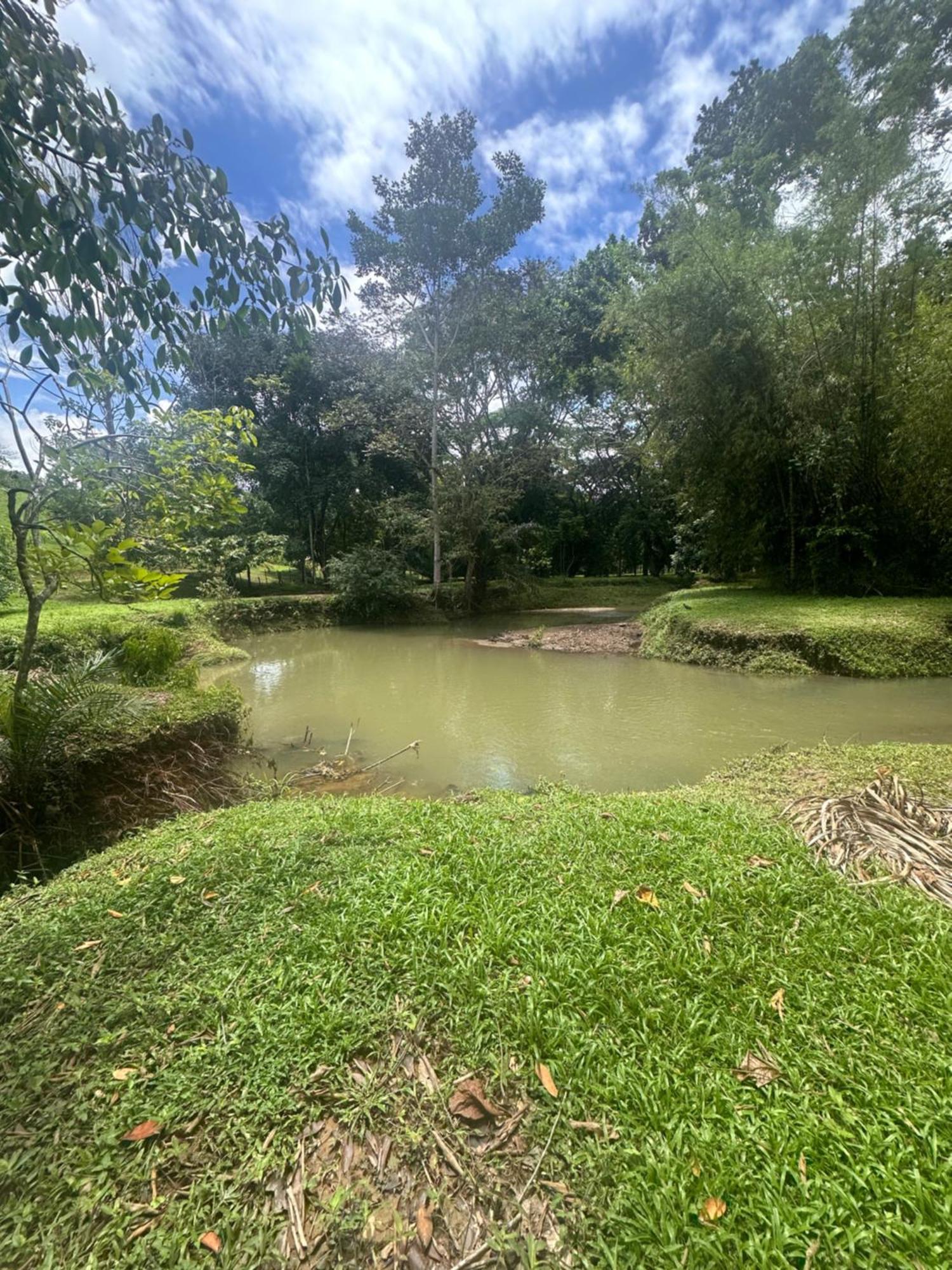 Laura Mountain House Villa Naranjito ภายนอก รูปภาพ